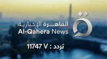 قنوات التغطية الإخبارية في القاهرة تجسد الأمانة والمصداقية في الإعلام